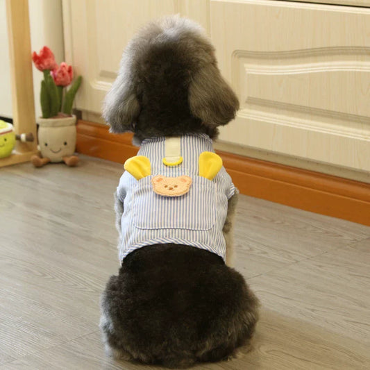 Dirfact | Vest Style Pet Harness and Leash Set for Small Dogs and Cats